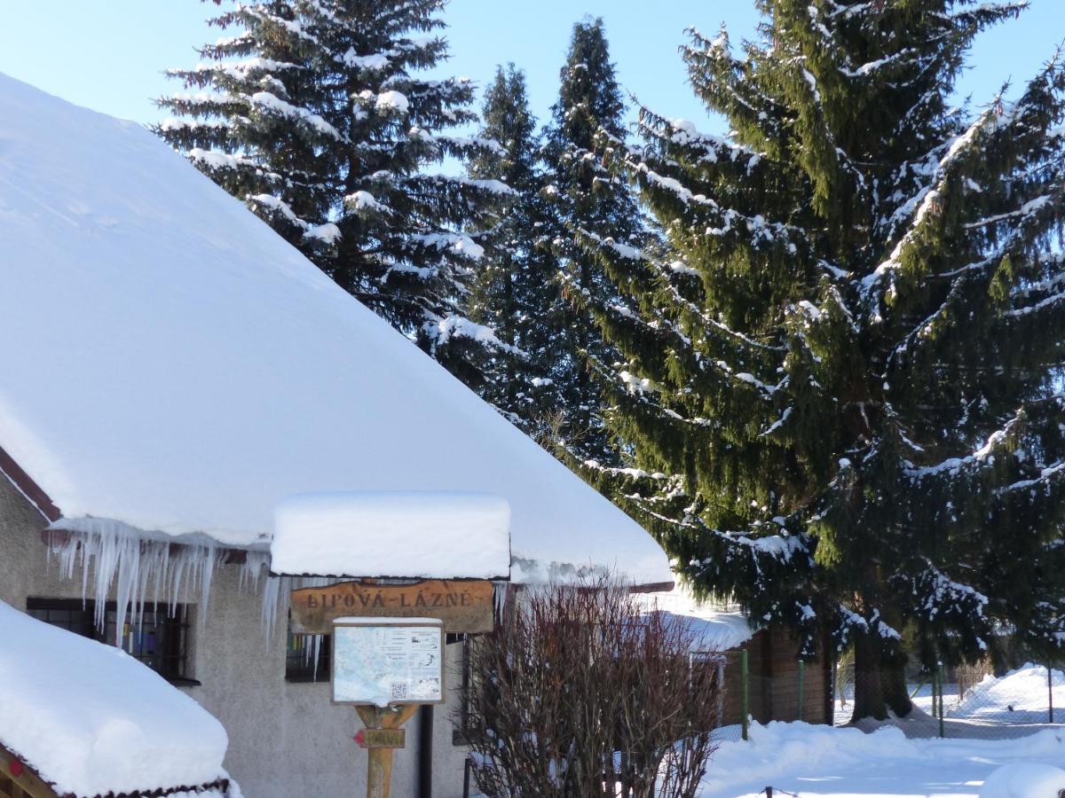Apartmany Plischke Lipova Lazne Exterior foto